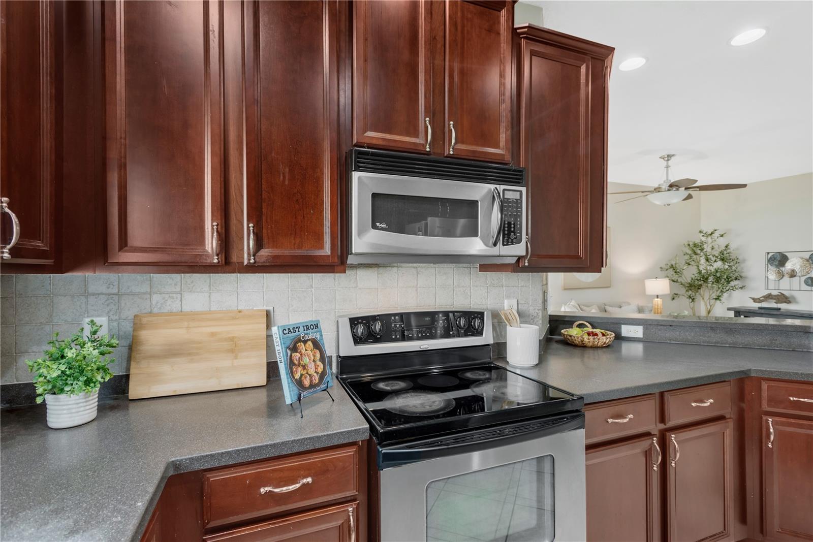 1133 ANDREW AVILES CIR — photo 12