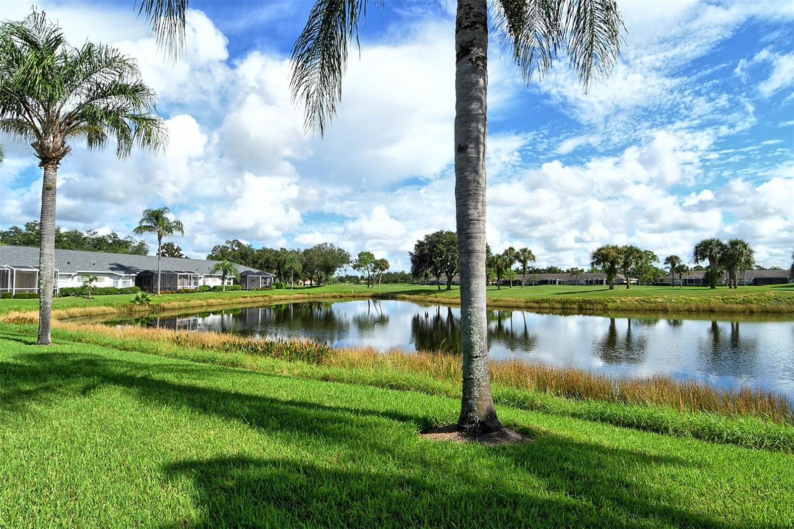 4951 CHASE OAKS DR — photo 47