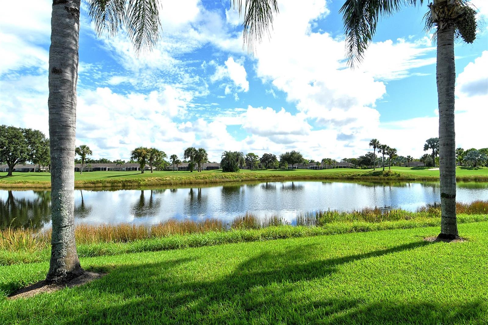 4951 CHASE OAKS DR — photo 48