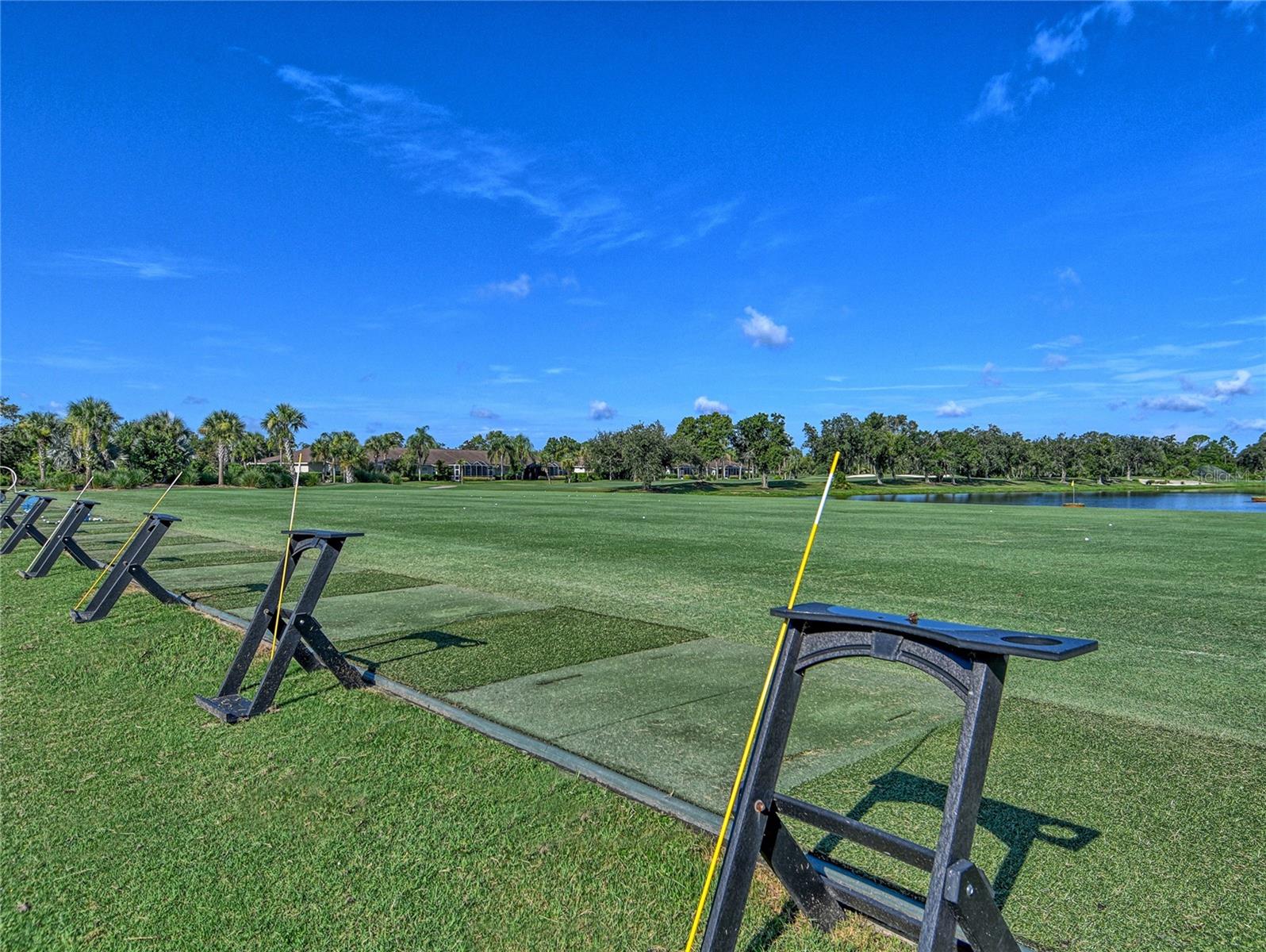 4951 CHASE OAKS DR — photo 56
