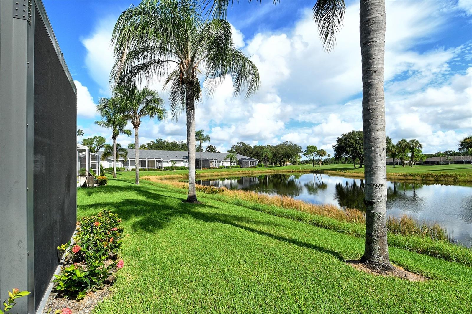 4951 CHASE OAKS DR — photo 50