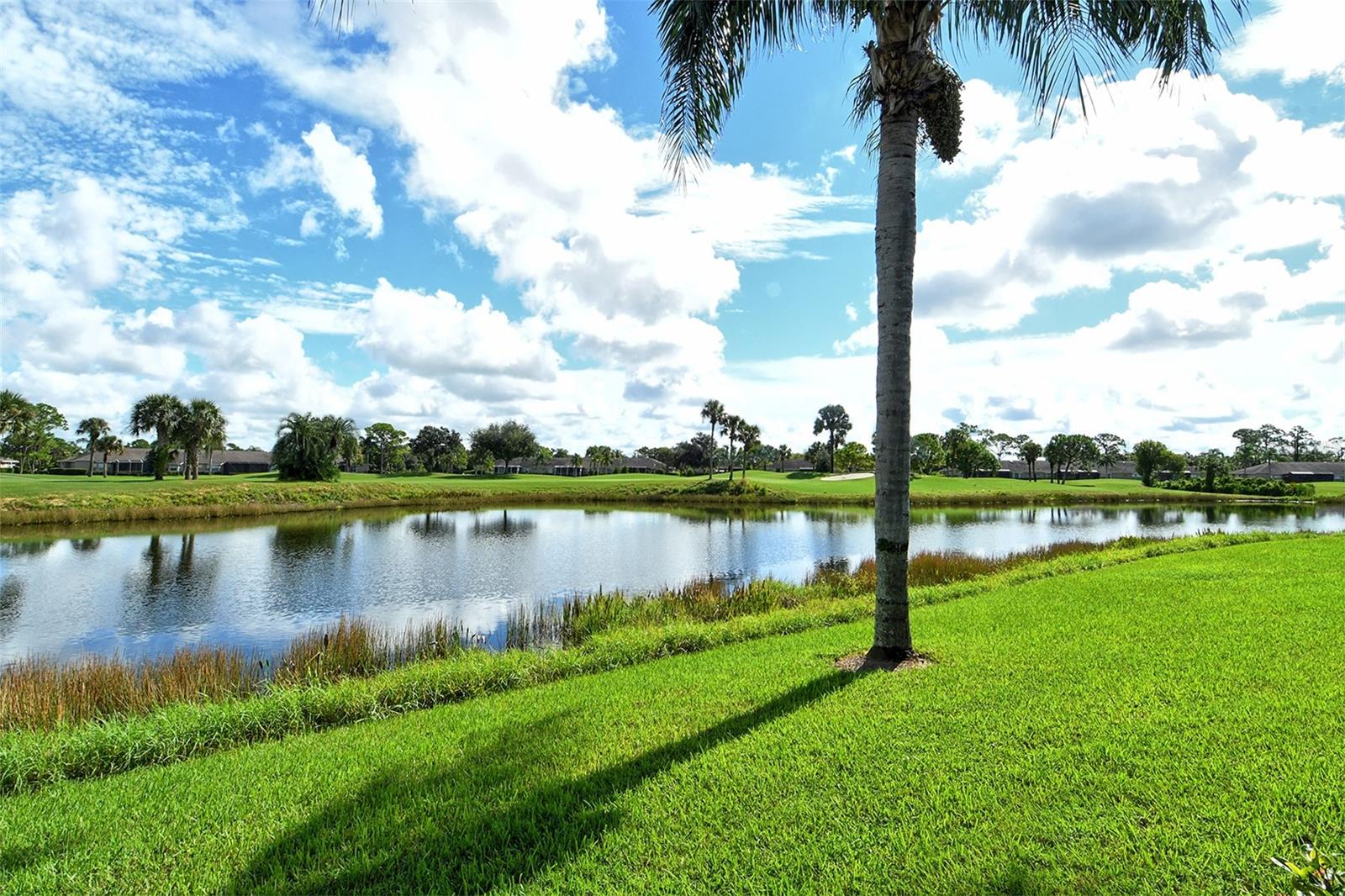 4951 CHASE OAKS DR — photo 49