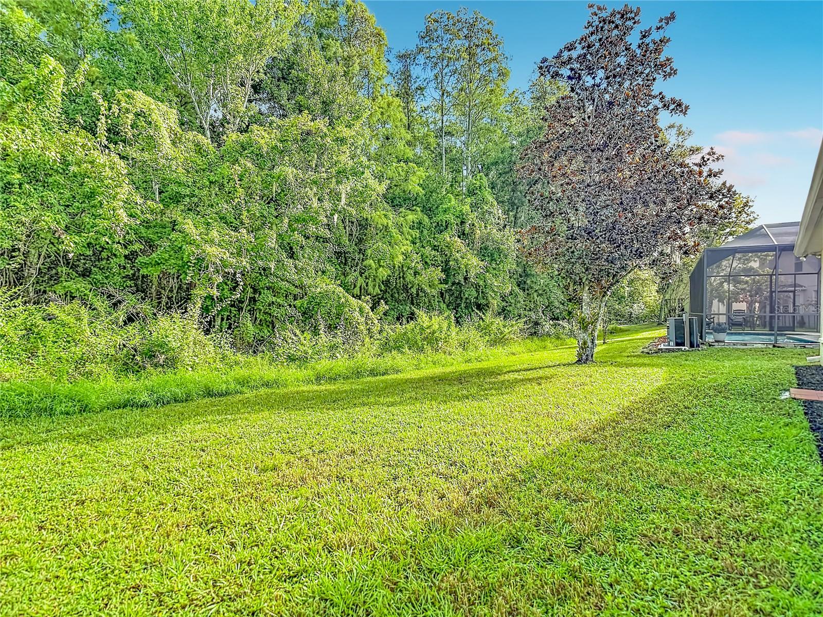 18453 CYPRESS BAY PKWY — photo 48