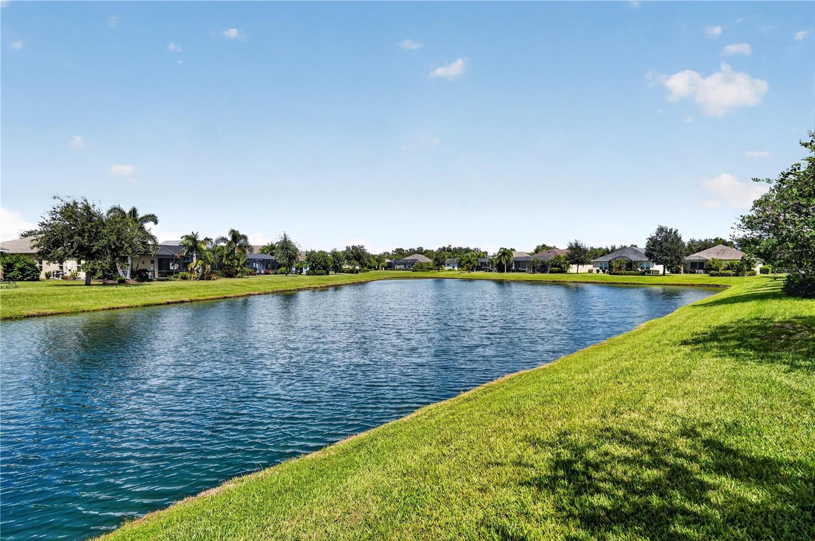 4560 SUMMERLAKE CIR — photo 41