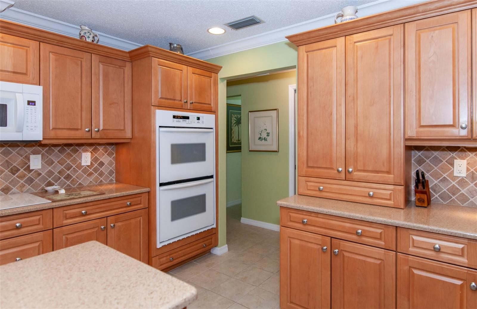 810 CARNOUSTIE DR — photo 25