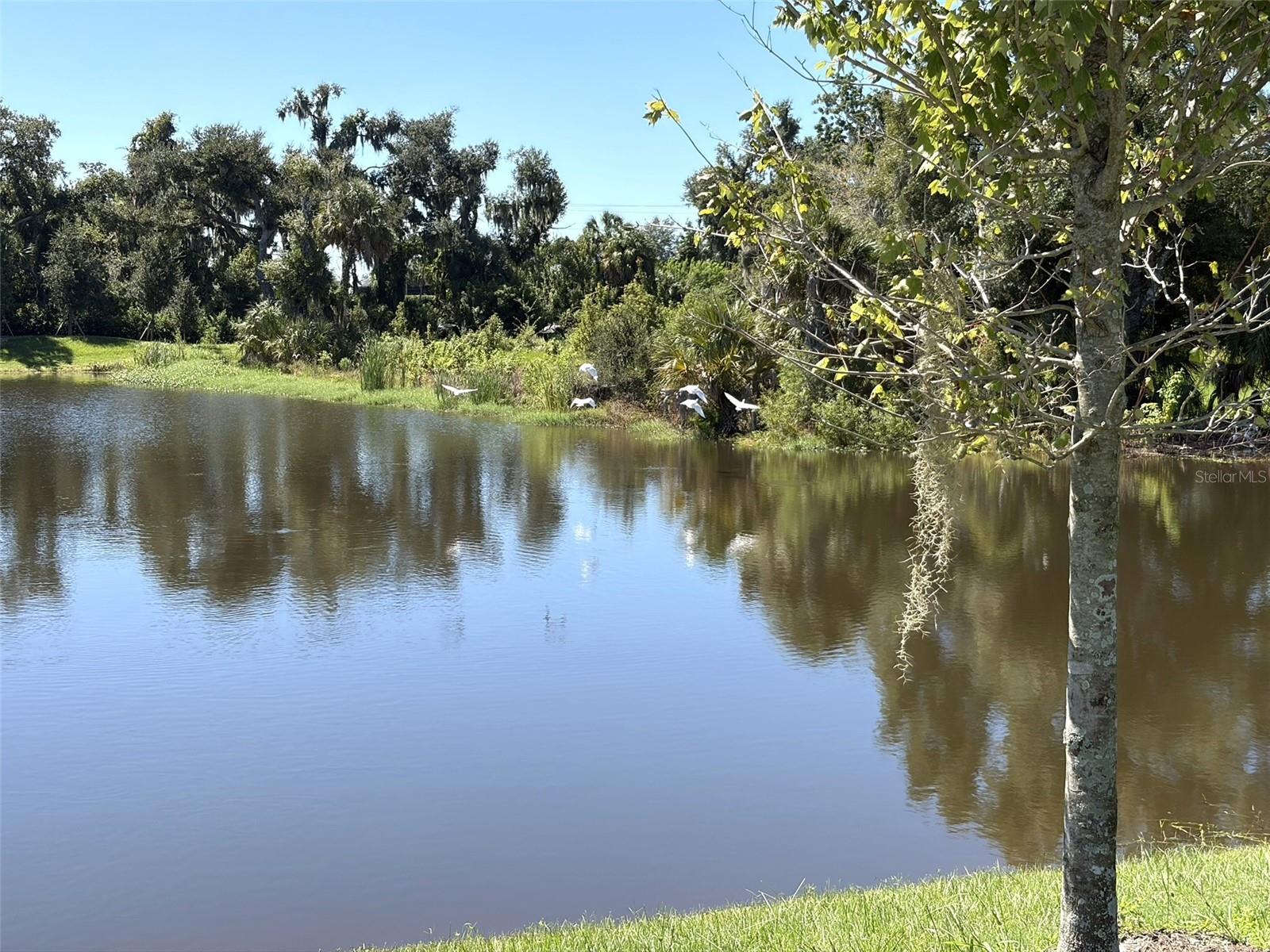 14449 HAMMOCK OAK ST — photo 58