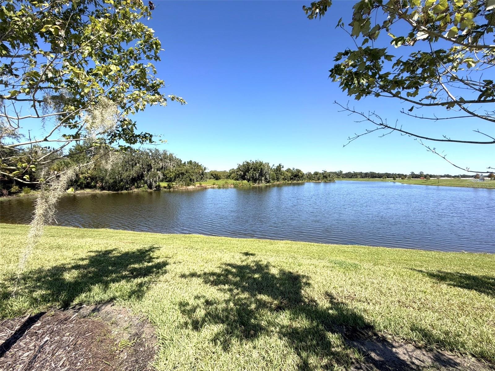 14449 HAMMOCK OAK ST — photo 57