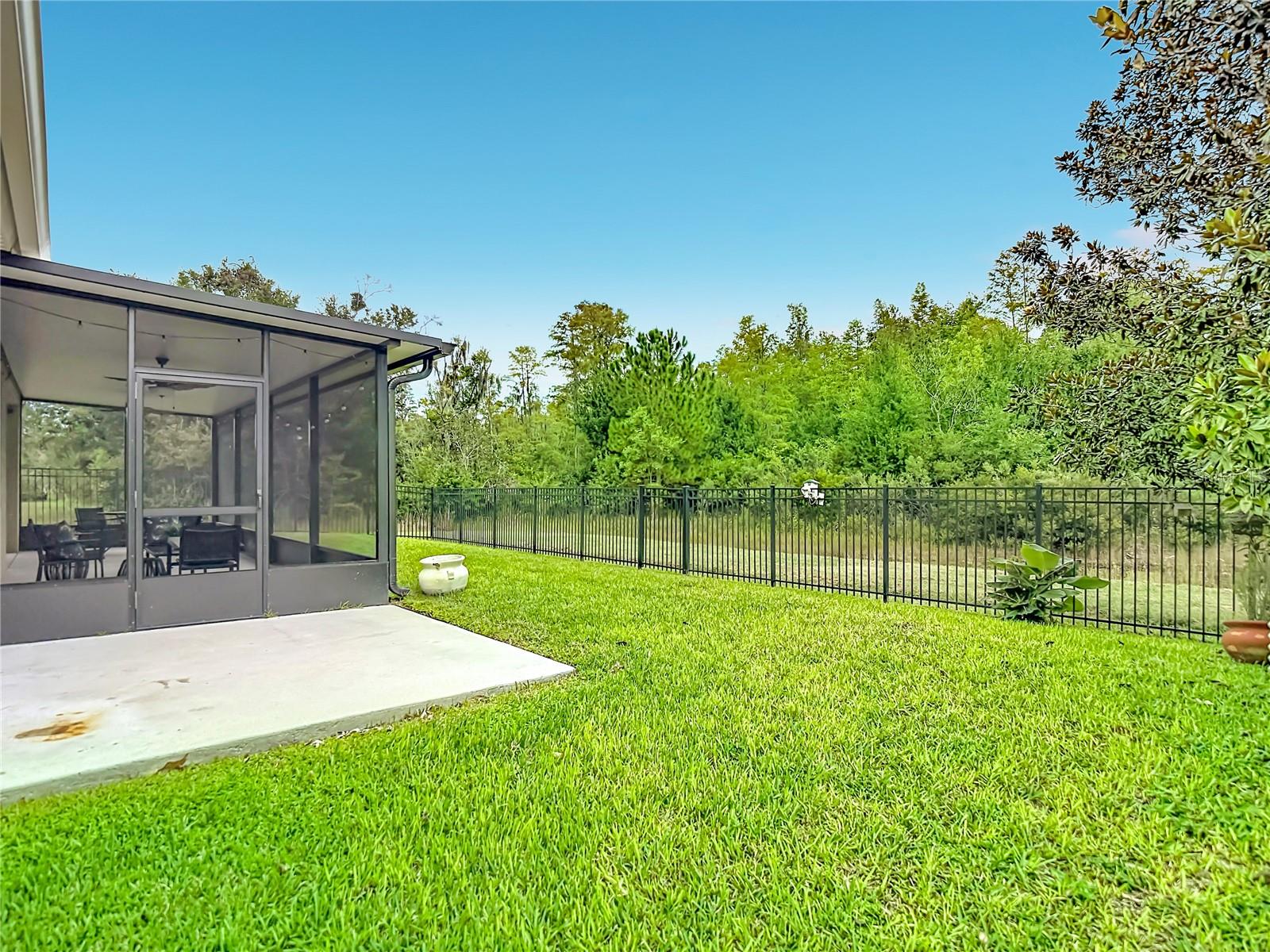 3117 MAJESTIC VIEW DR — photo 61