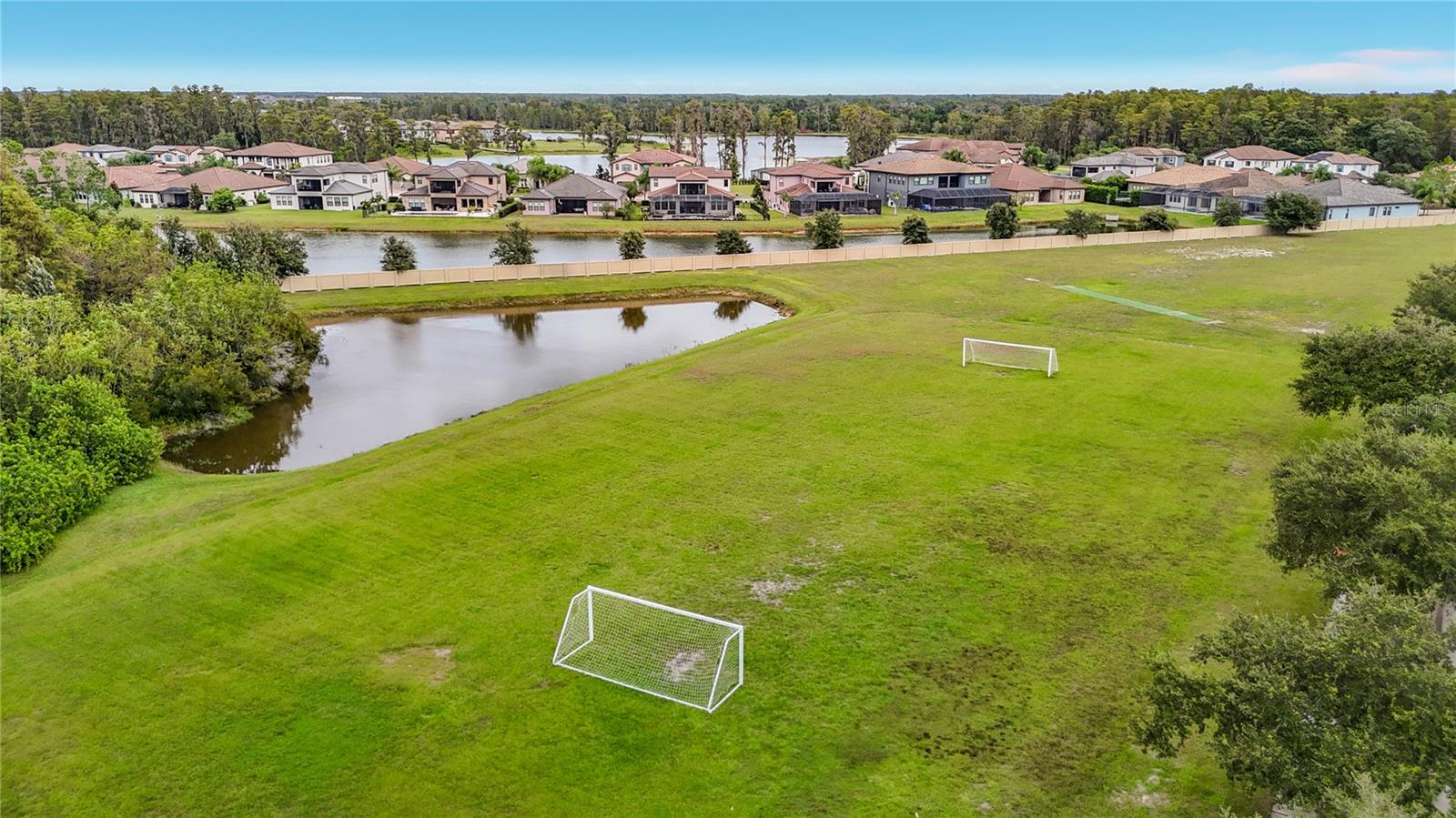 3117 MAJESTIC VIEW DR — photo 68