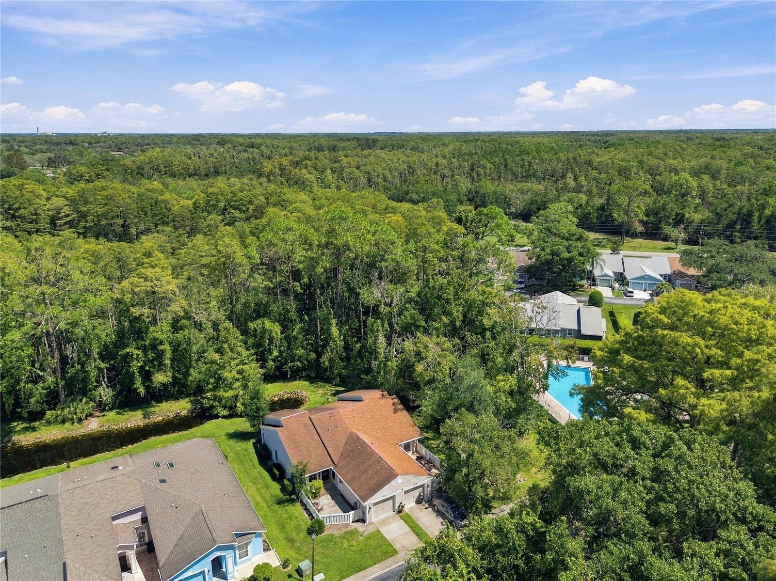 12508 HOLLYBROOK LN — photo 48