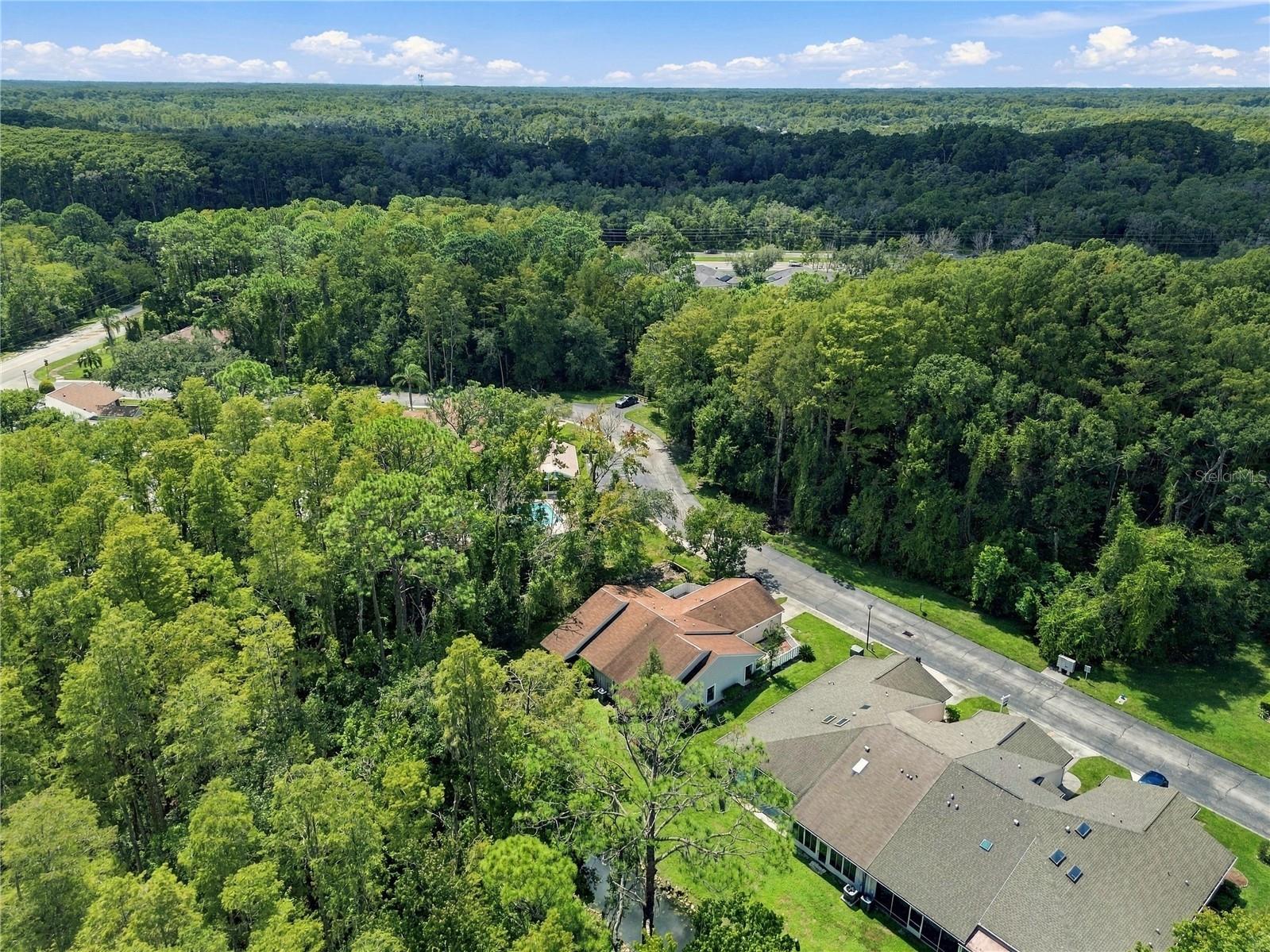 12508 HOLLYBROOK LN — photo 47