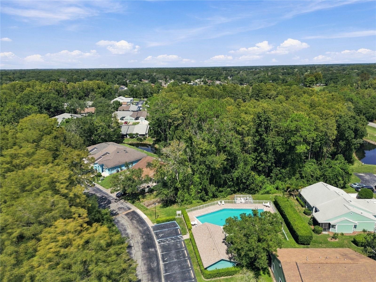 12508 HOLLYBROOK LN — photo 49