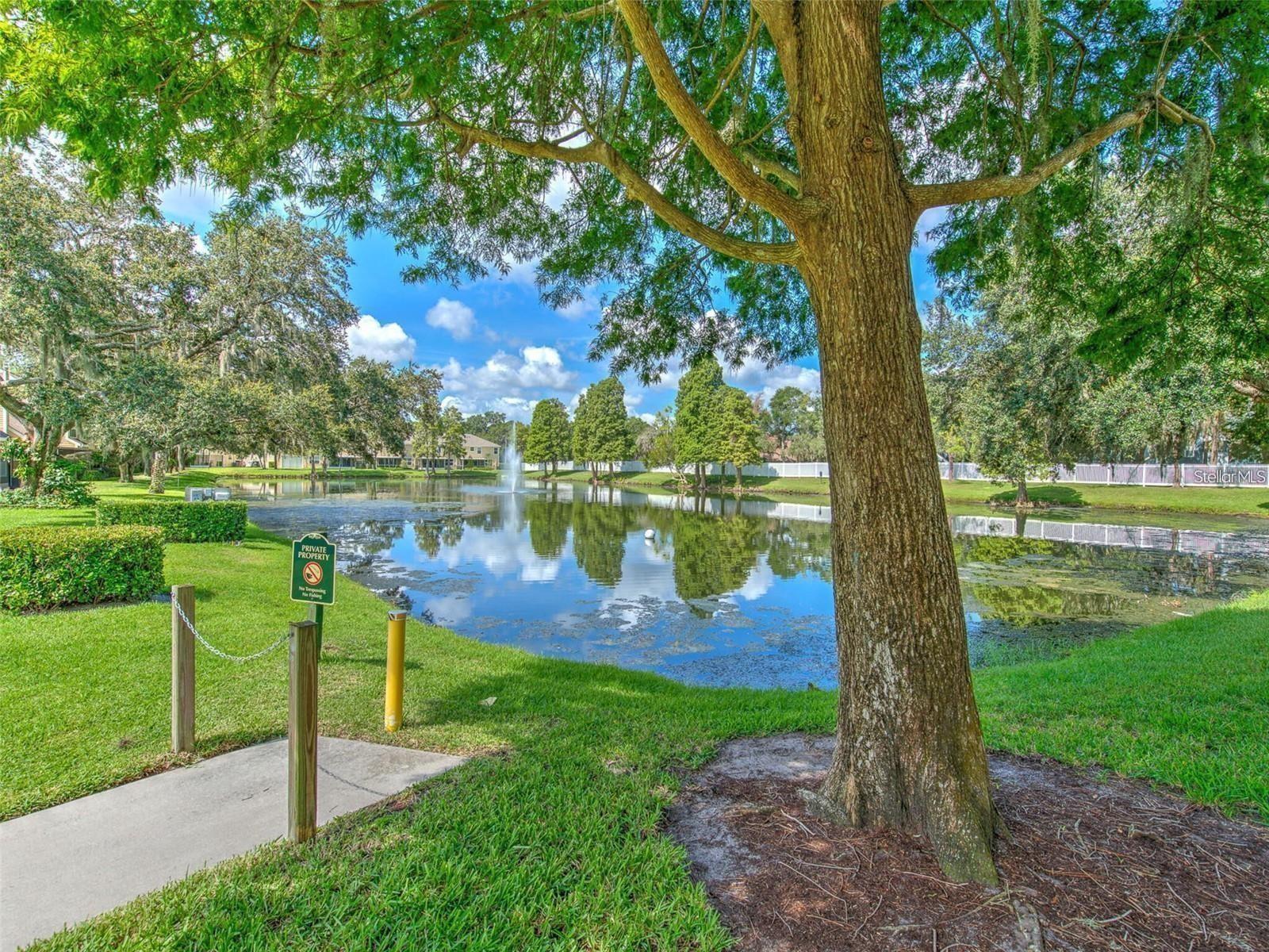 3612 PINE KNOT DR — photo 36