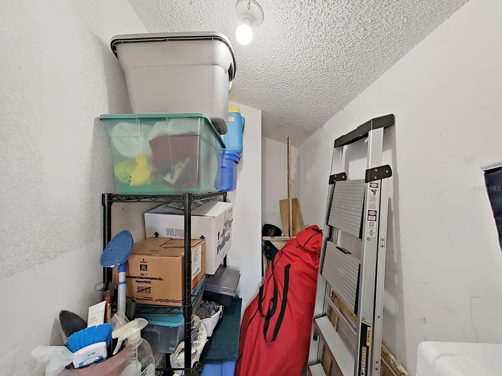 129 CAMPHOR CIR #C — photo 35