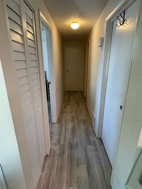 129 CAMPHOR CIR #C — photo 38