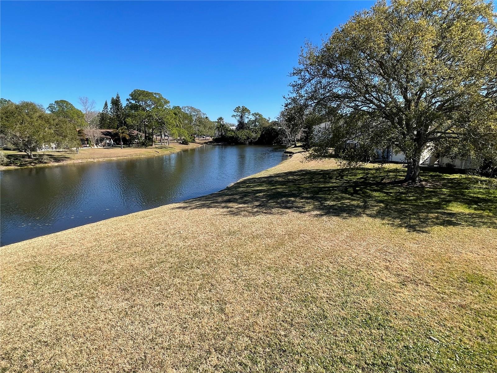 129 CAMPHOR CIR #C — photo 53