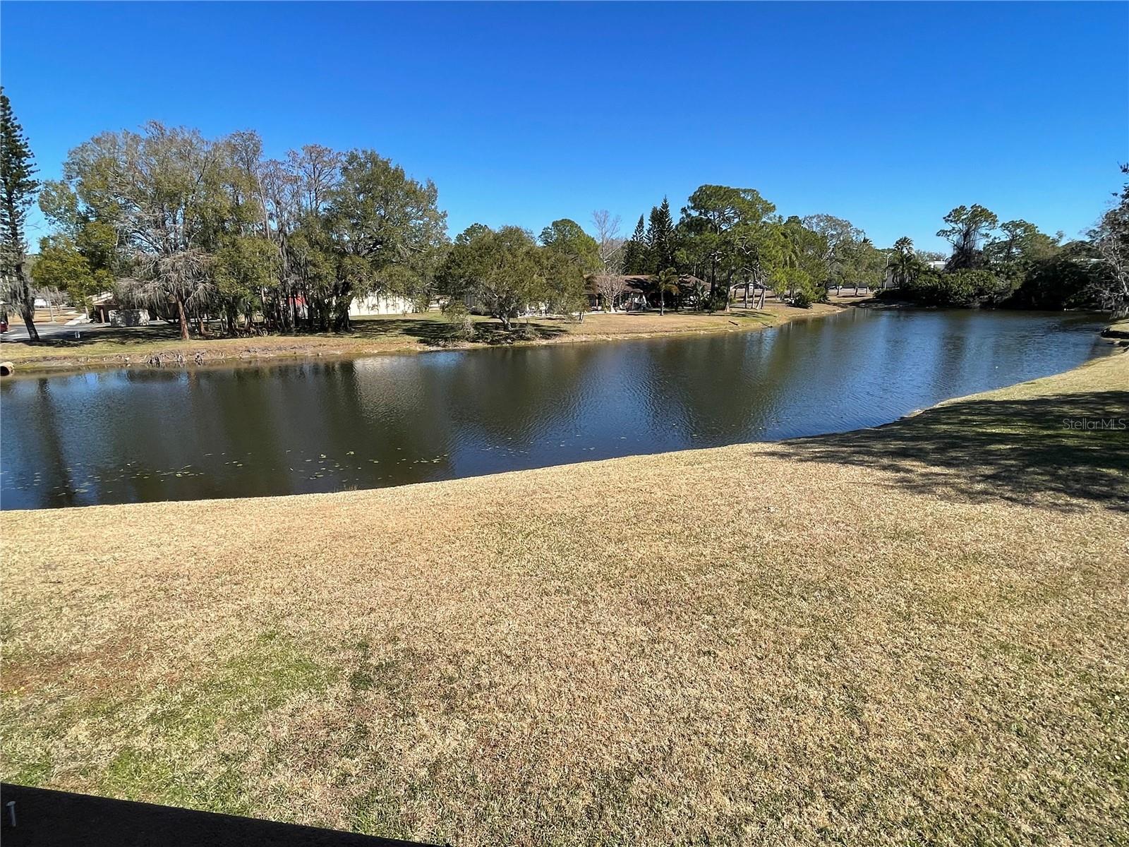 129 CAMPHOR CIR #C — photo 52