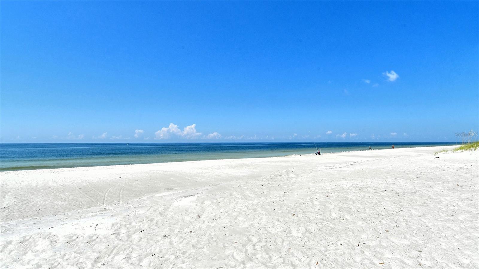 2525 GULF OF MEXICO DR #7B — photo 66