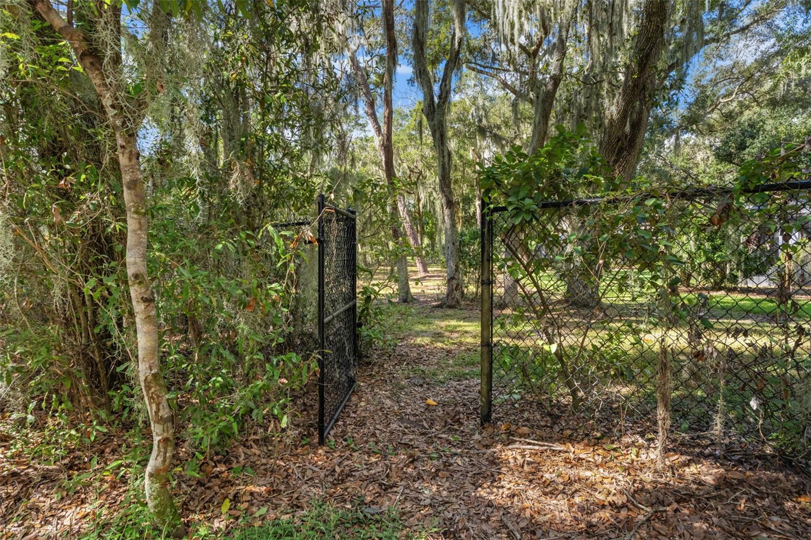 6029 HAMMOCK HILL AVE — photo 55
