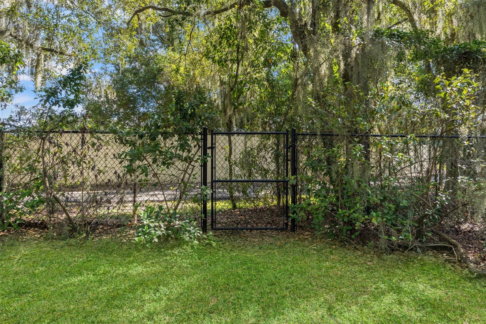 6029 HAMMOCK HILL AVE — photo 54