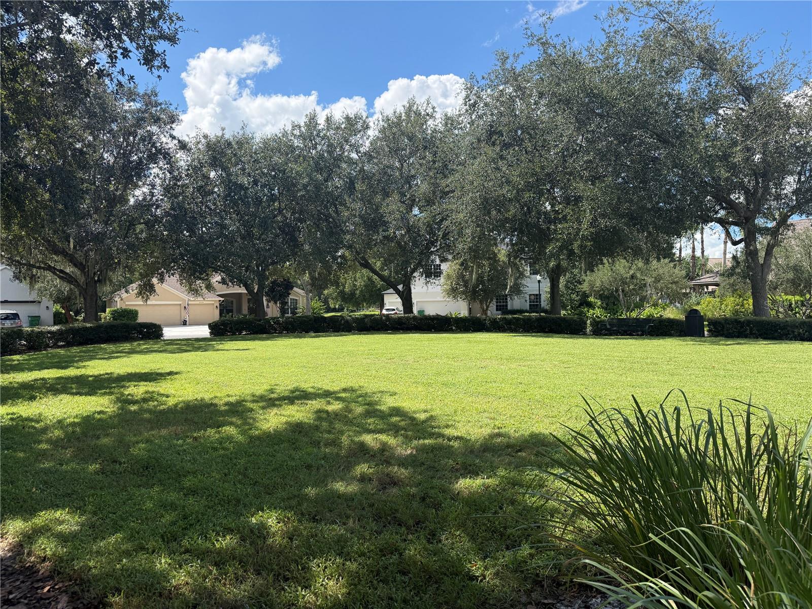 27332 BRIARGLADE LOOP — photo 63
