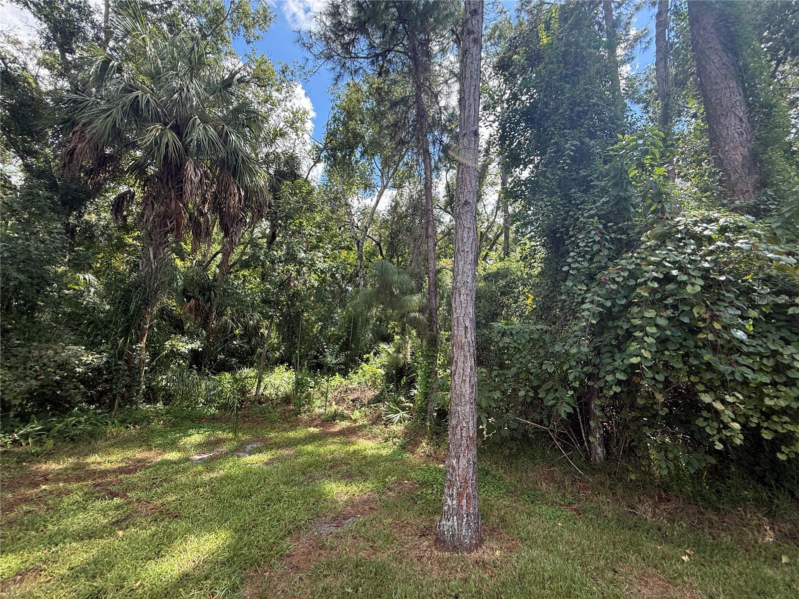 27332 BRIARGLADE LOOP — photo 58
