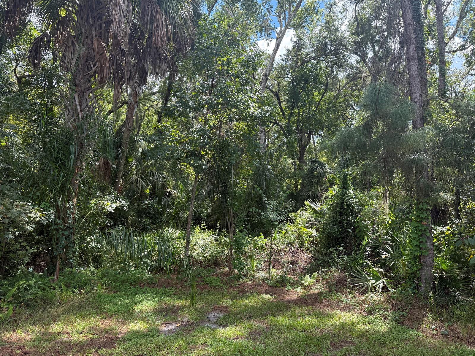 27332 BRIARGLADE LOOP — photo 57