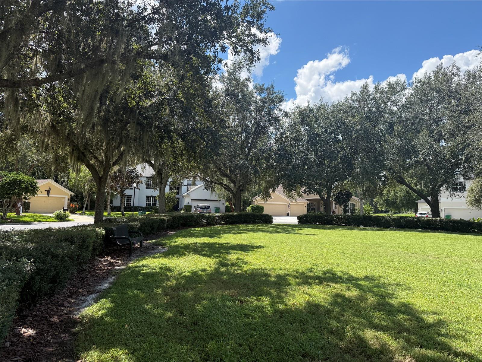 27332 BRIARGLADE LOOP — photo 62