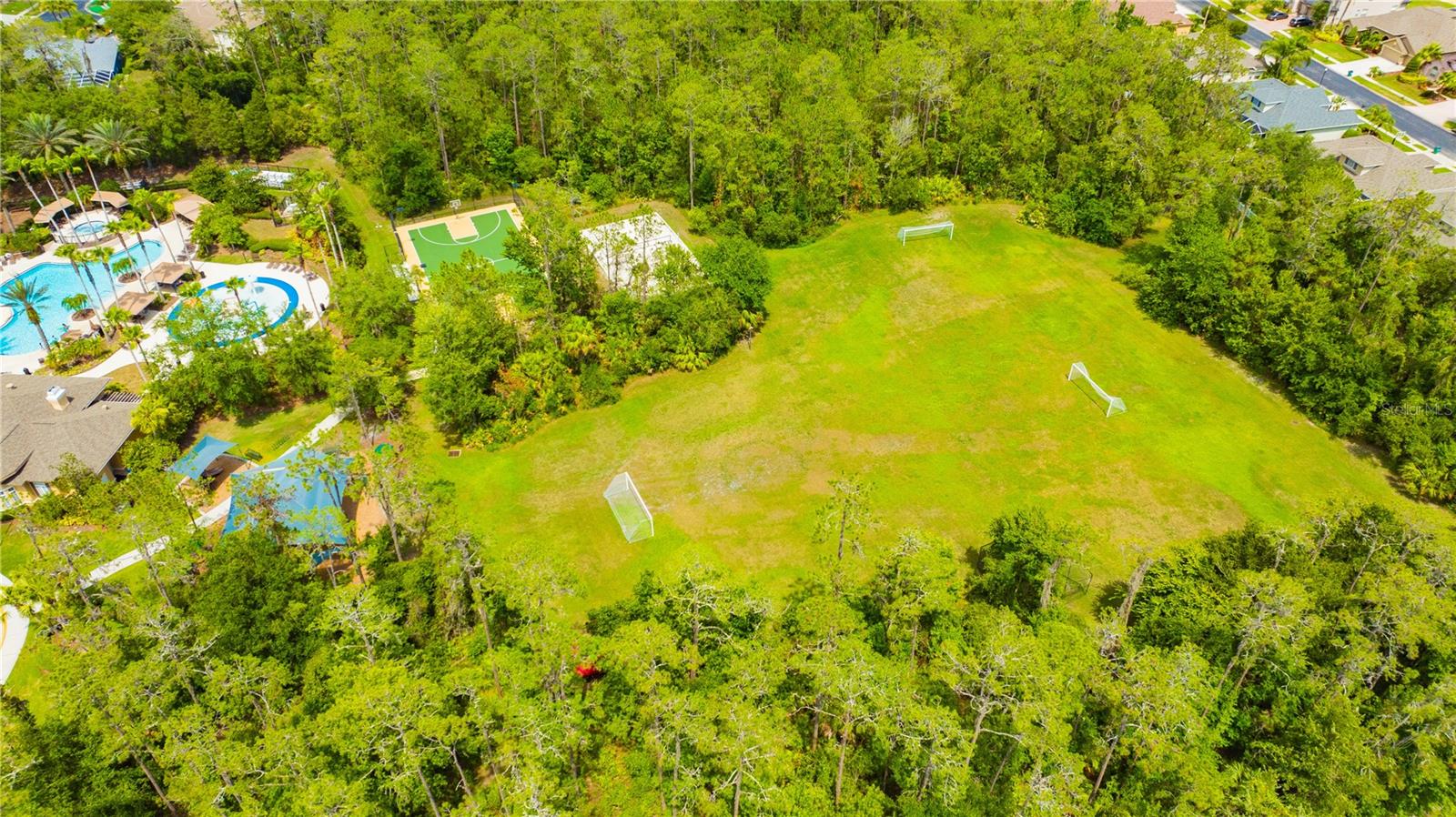 27332 BRIARGLADE LOOP — photo 78
