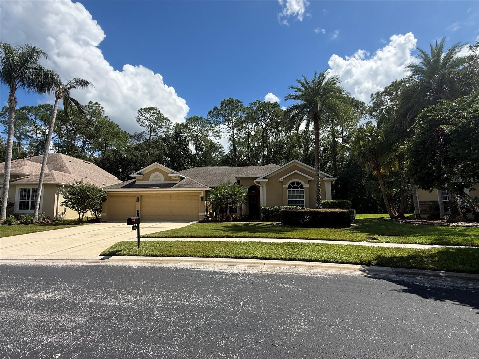 27332 BRIARGLADE LOOP — photo 59