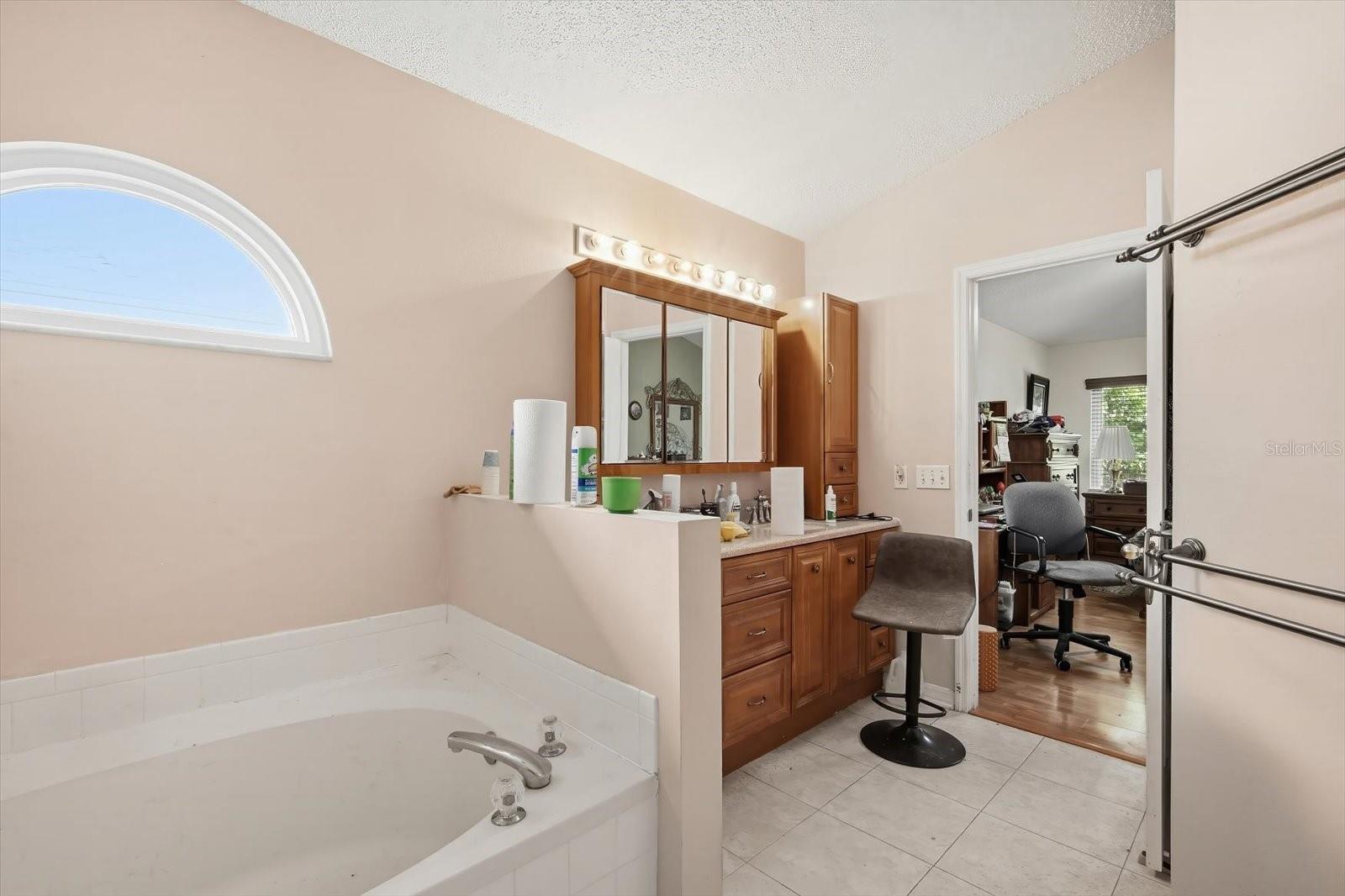 10271 OASIS PALM DR — photo 23