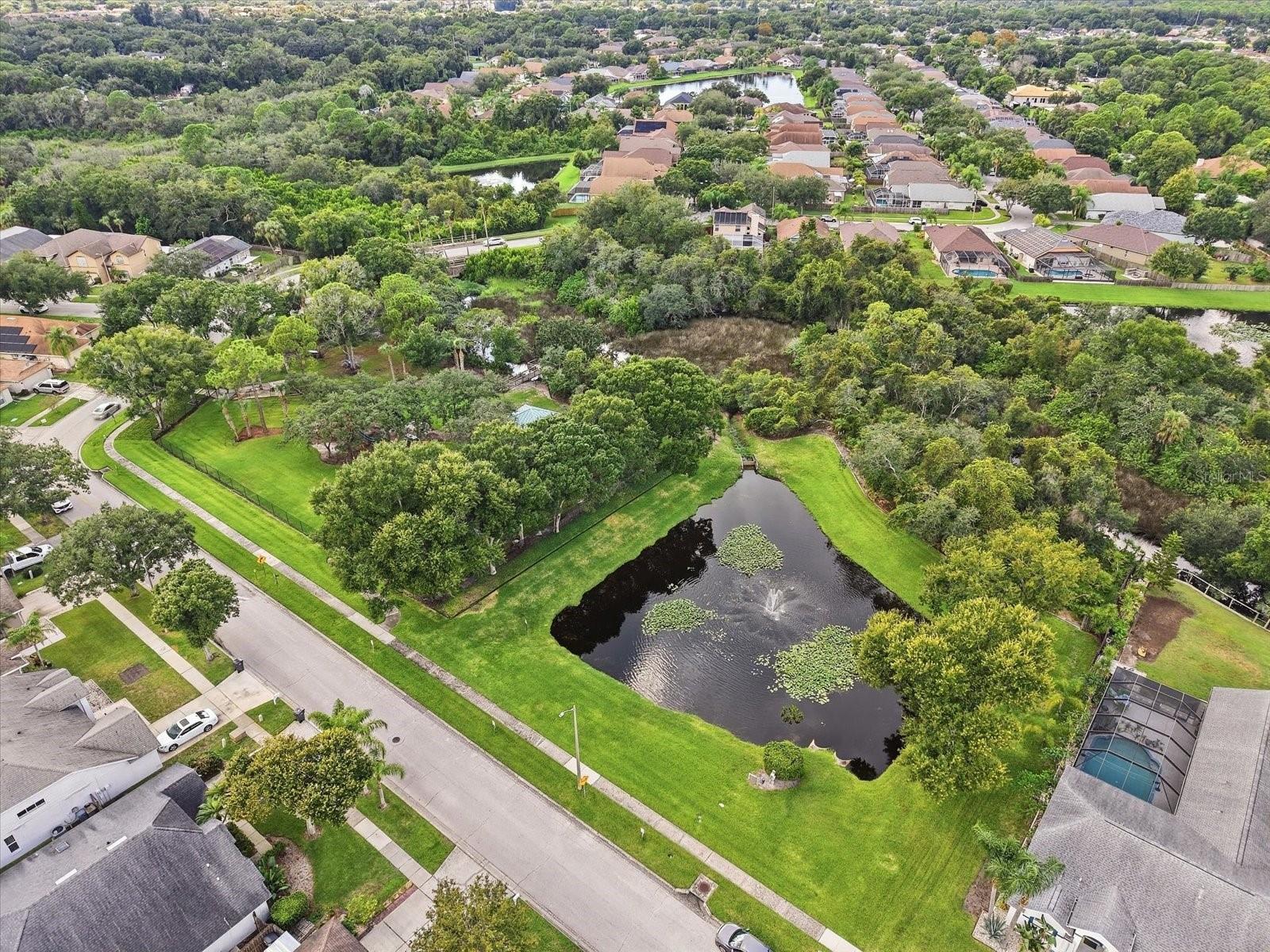 10271 OASIS PALM DR — photo 11