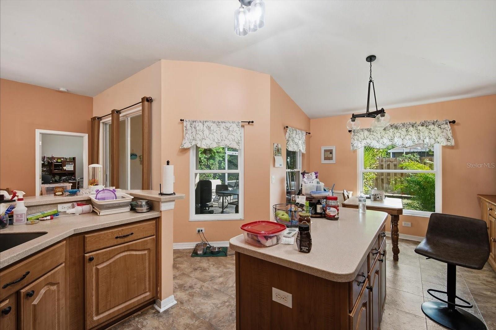 10271 OASIS PALM DR — photo 31