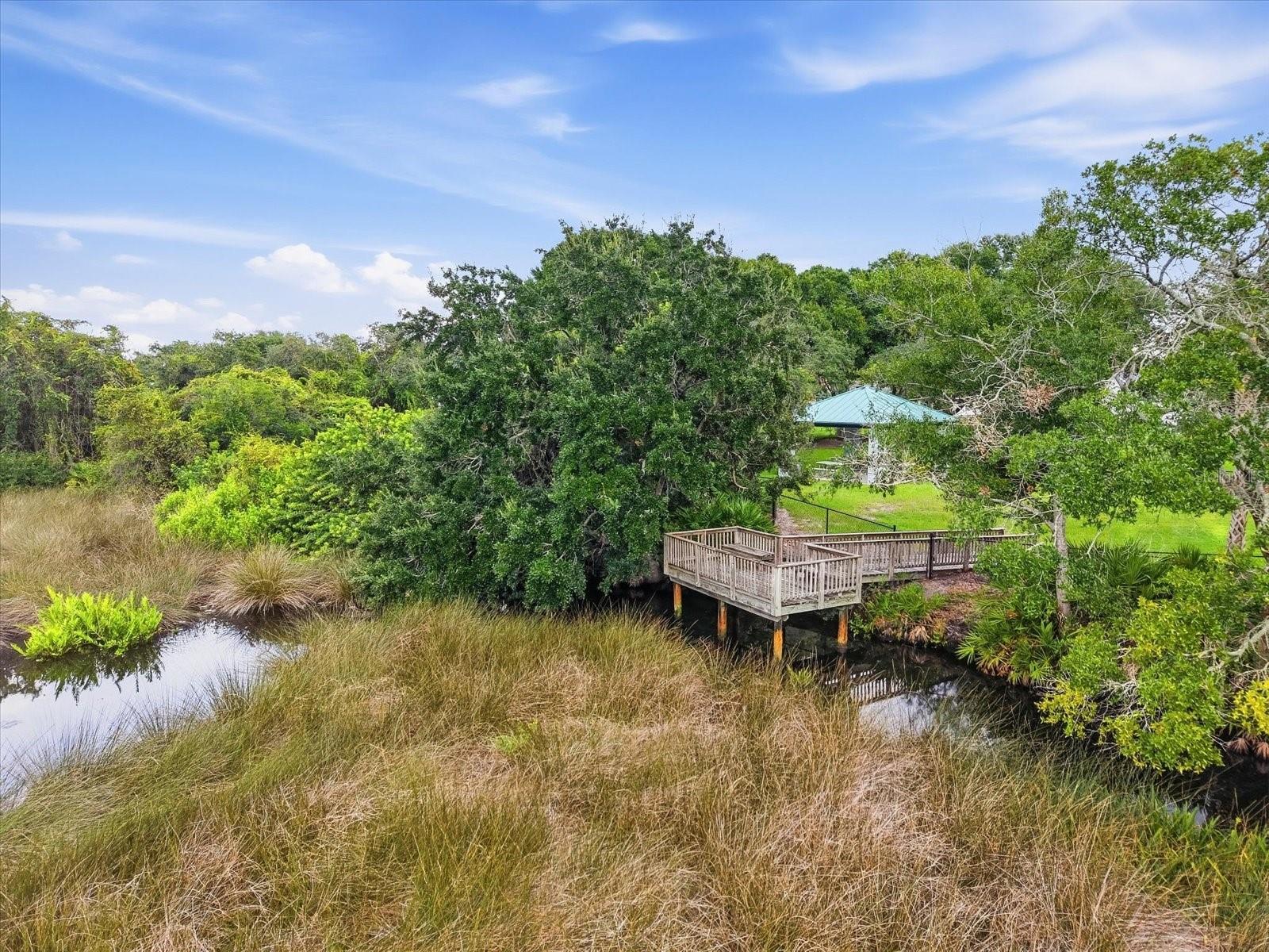 10271 OASIS PALM DR — photo 14