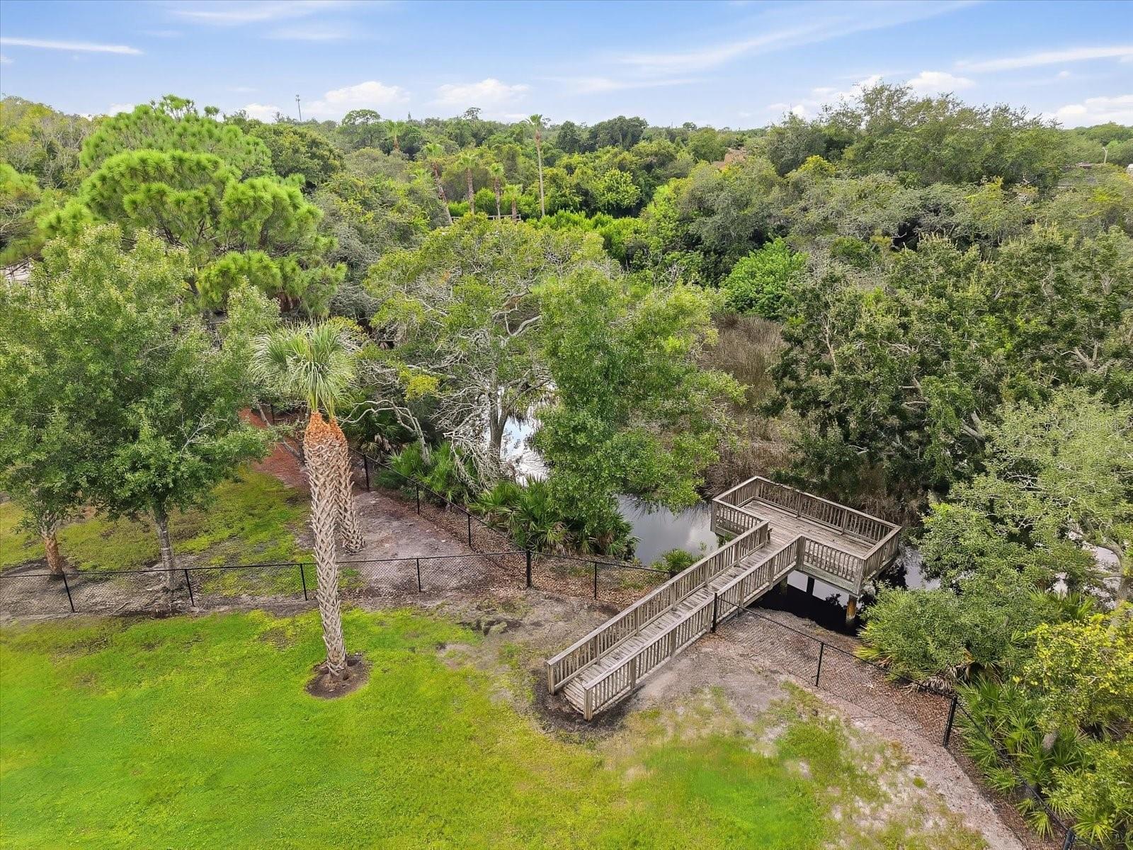 10271 OASIS PALM DR — photo 15