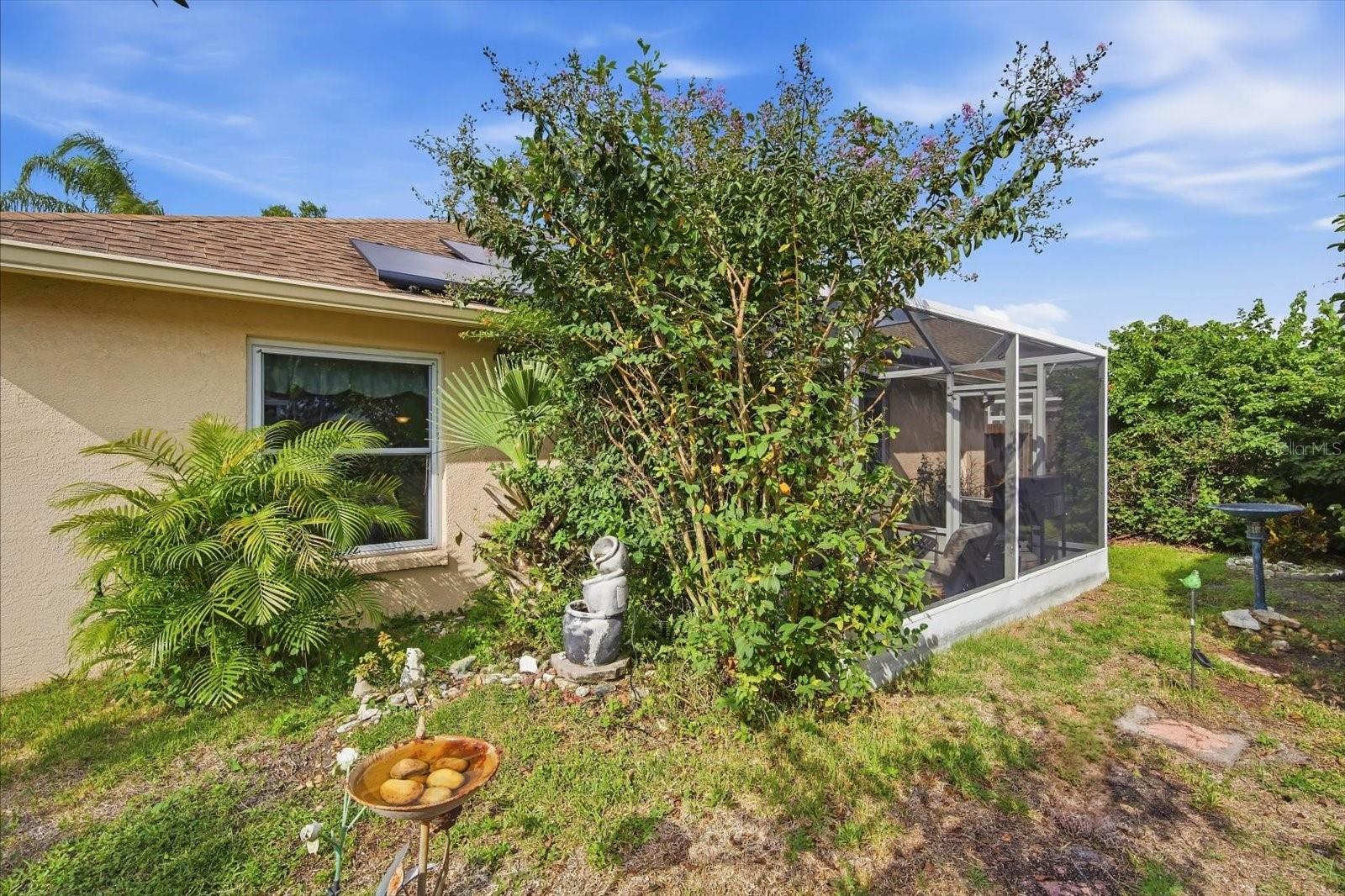 10271 OASIS PALM DR — photo 34