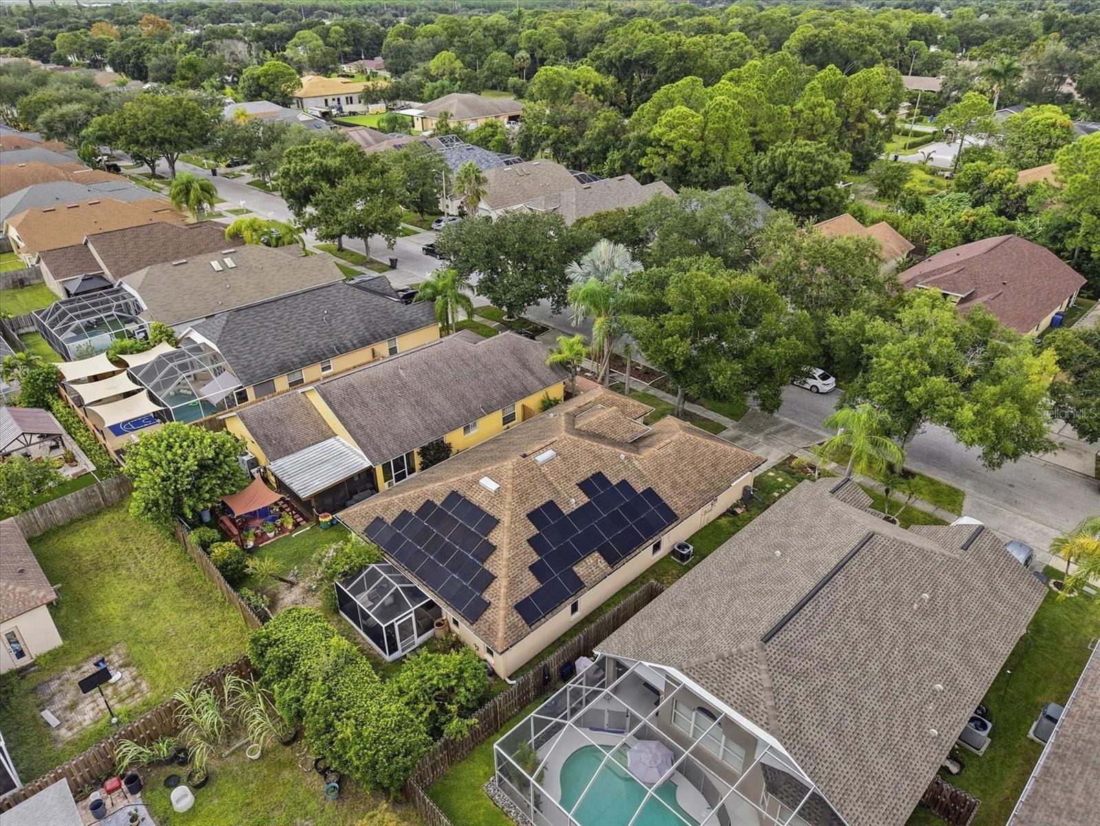 10271 OASIS PALM DR — photo 10