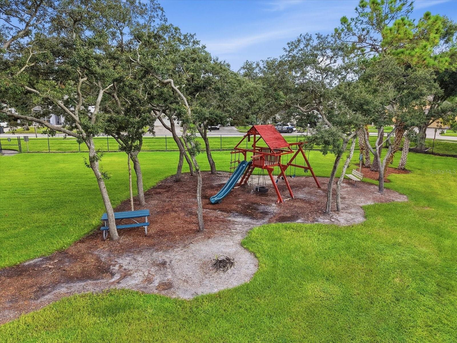 10271 OASIS PALM DR — photo 13