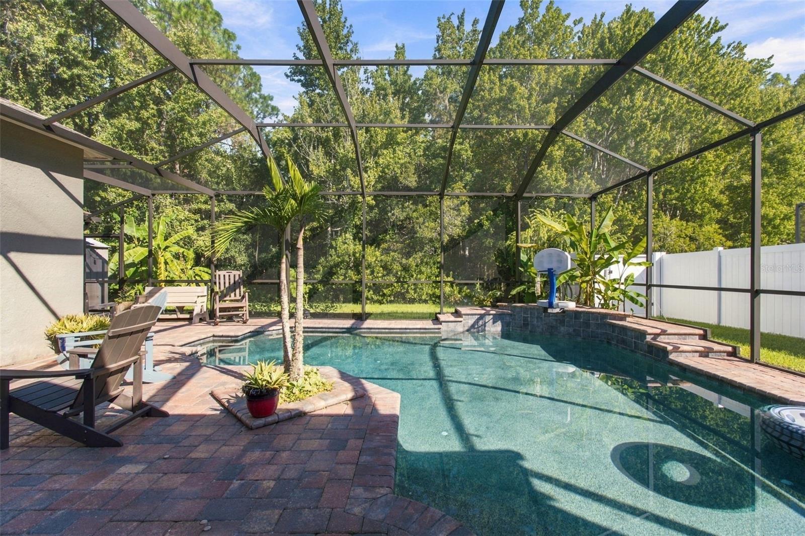26221 SWORD DANCER DR — photo 70