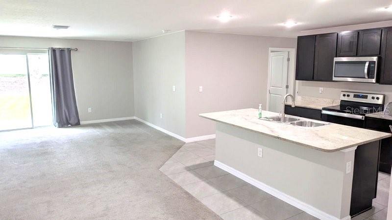 13667 WHISKEY DAISY DR — photo 3