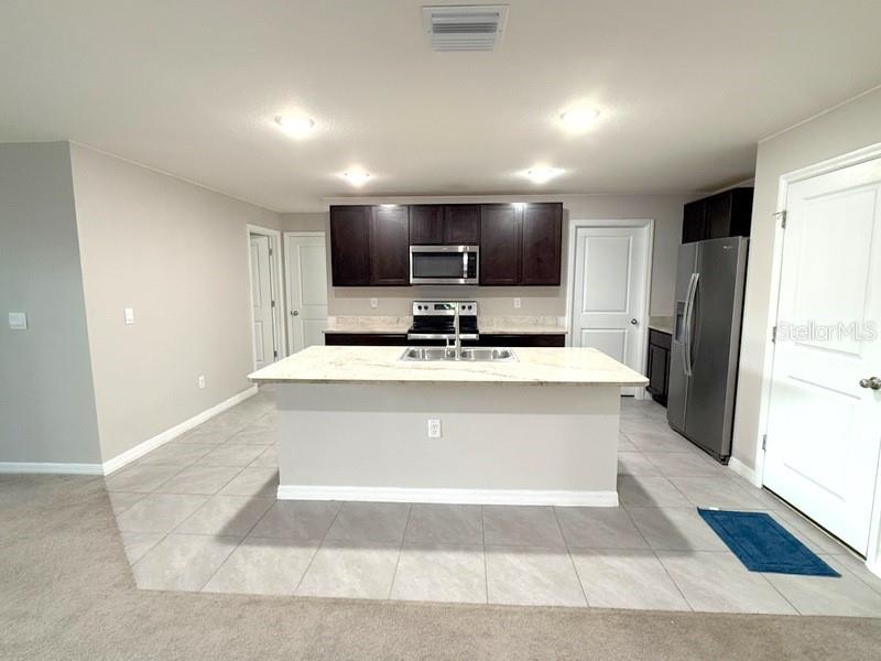 13667 WHISKEY DAISY DR — photo 7