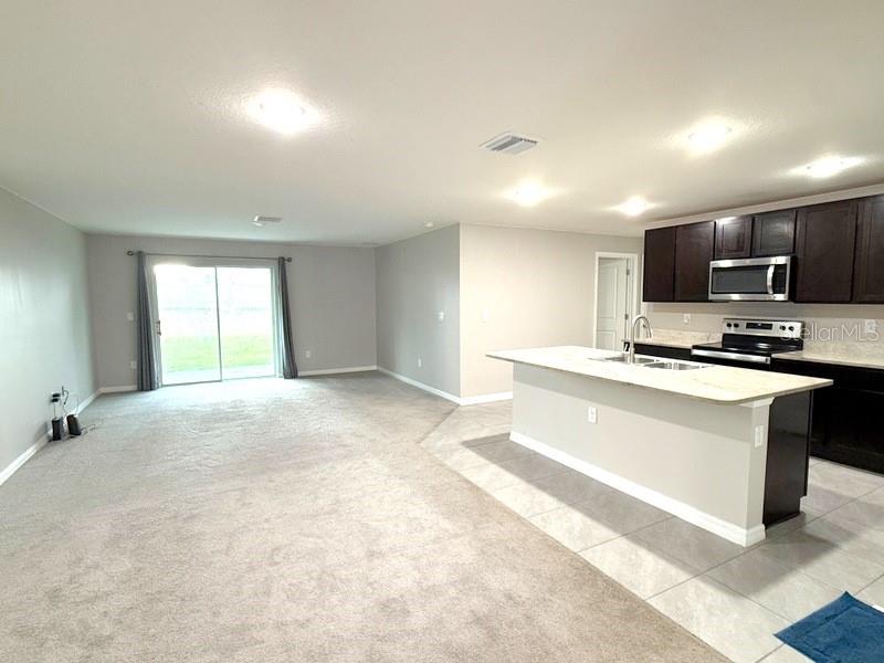 13667 WHISKEY DAISY DR — photo 8