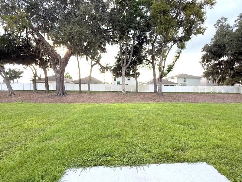 13667 WHISKEY DAISY DR — photo 23