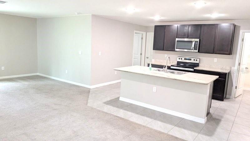 13667 WHISKEY DAISY DR — photo 4