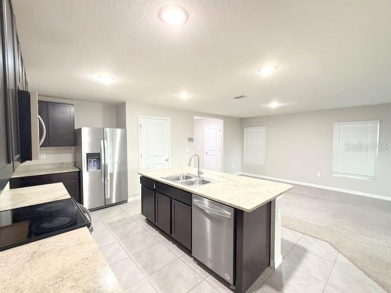 13667 WHISKEY DAISY DR — photo 10