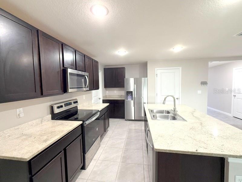 13667 WHISKEY DAISY DR — photo 13