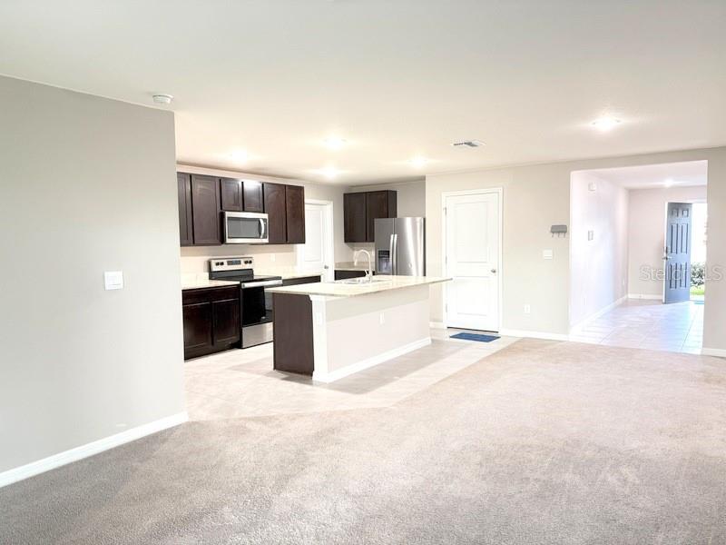 13667 WHISKEY DAISY DR — photo 6