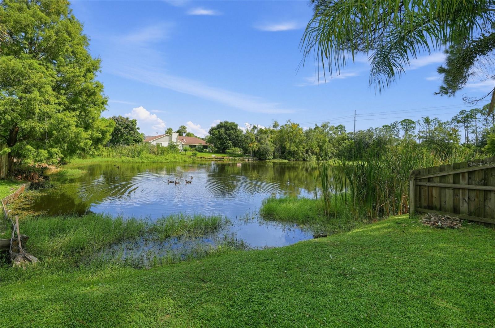 4165 ROLLING SPRINGS DR — photo 42