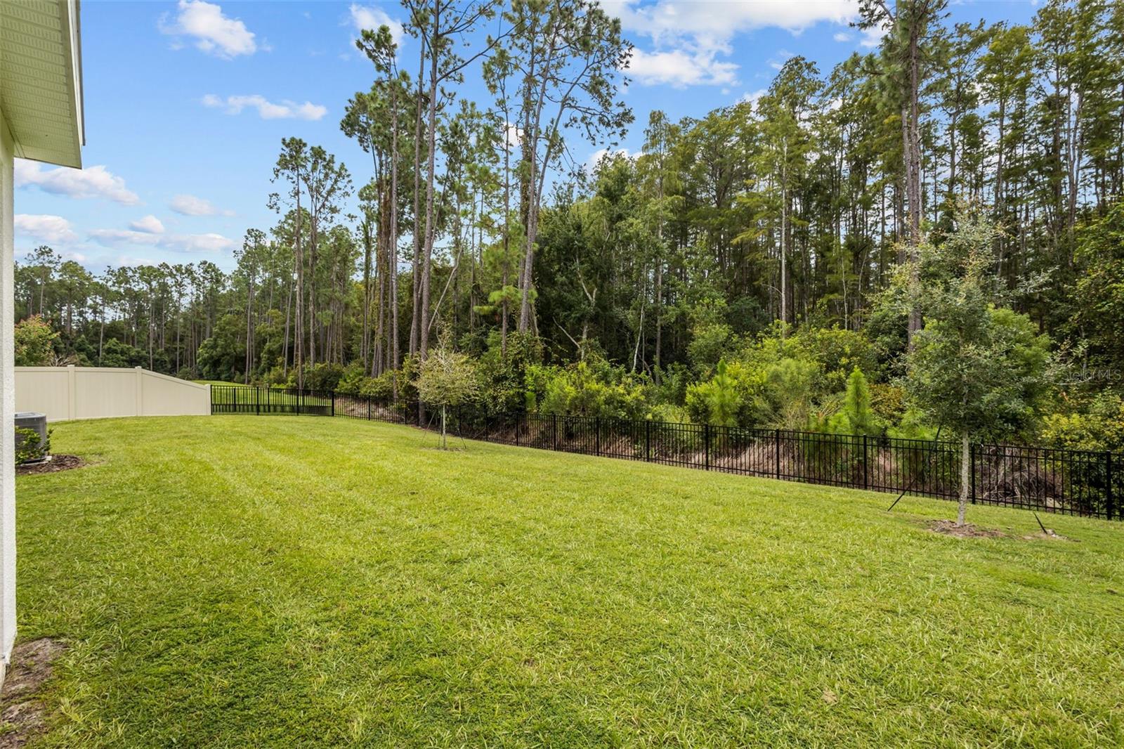 6847 DAINTREE CT — photo 5