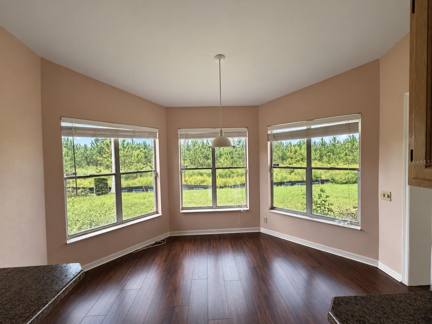 8417 DANBURY LN — photo 4